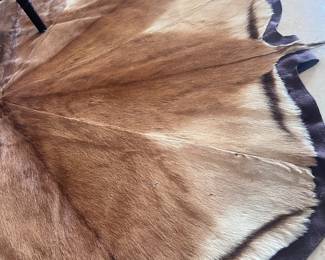 Another stunning animal skin rug decor