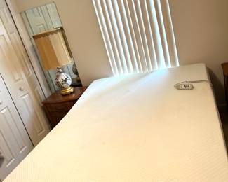 Queen Therapeutic Mattress made by Bamboo Electric Bed with Remote made by Rize Company - Works well.