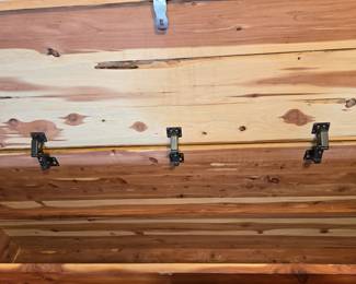 Inside Cedar Trunk