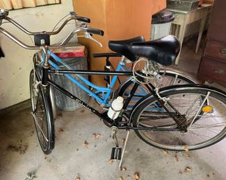 Vintage 1965 Schwinn Breeze