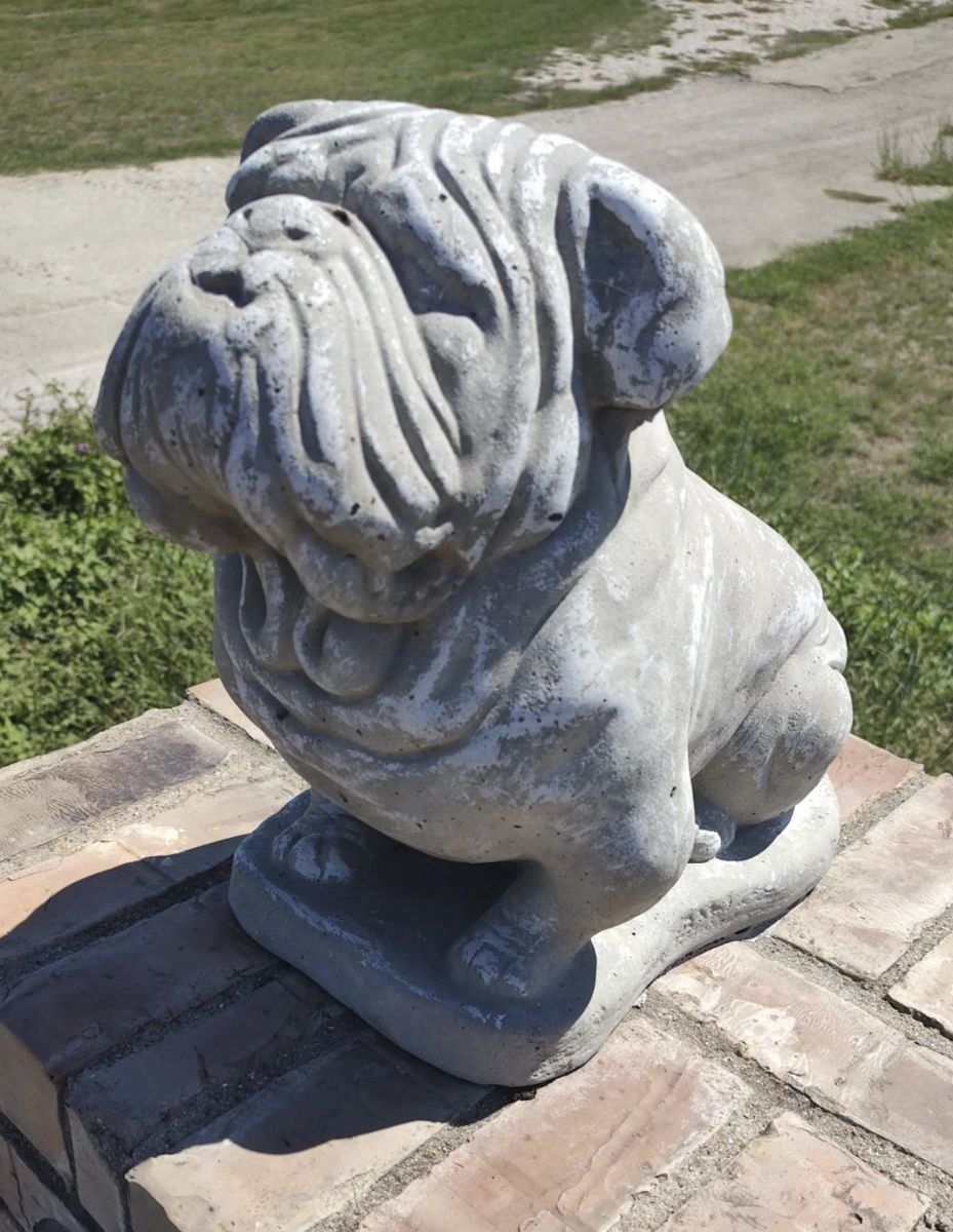 Concrete Bull Dog