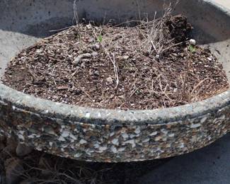 Concrete Planter