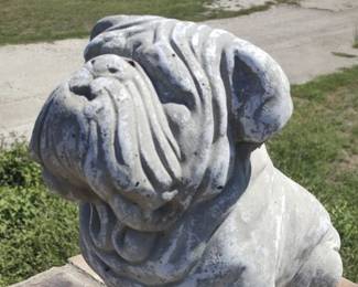 Concrete Bull Dog