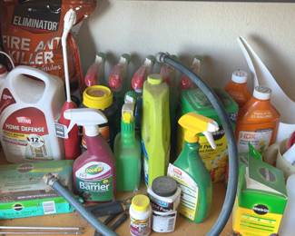 Garden Mystery Items