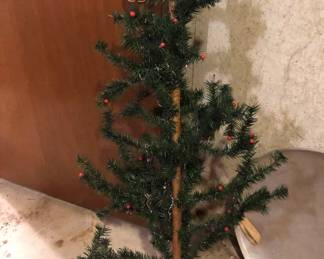 FEATHER OR CELLOPHANE TREE