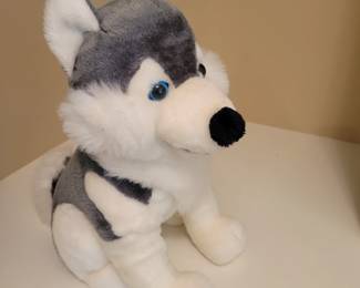 He Looking For His Forever Home 