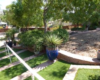 More large pots and plants
