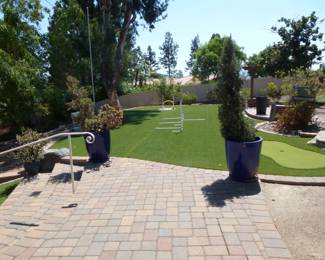 even more large pots and plants!