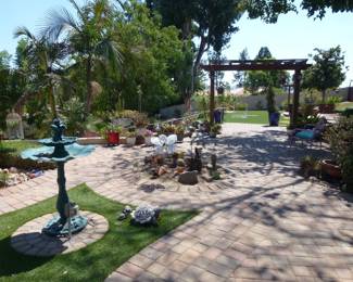 Lots of cactus plants in pots, ready for you to take home!