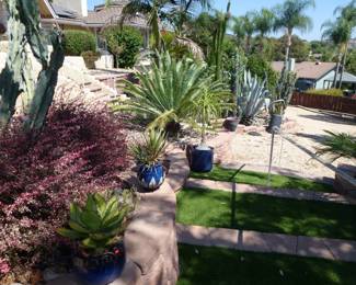Wonderful grounds,many large pots,many plants