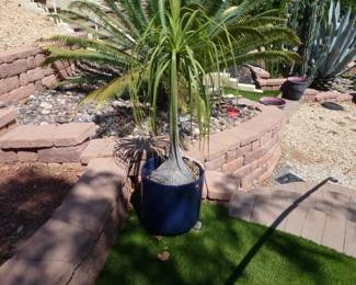 Heavy pots and plants, you will need muscle to move them