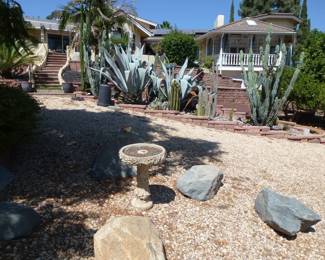 This yard is incredible, so well maintained and full of wonderful plants