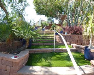 Just look at the plants in this huge back yard, many huge pots.