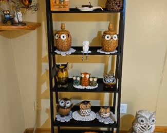 Owl collection 