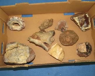 Lot 36. Geodes, petrified wood and more
