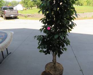 Lot 362. 6' faux tree