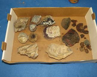 Lot 111. Petrified wood, fossils, and more