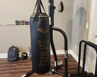 Everlast Powercore Bag and Stand