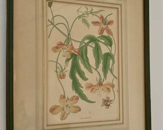 Framed Floral Print