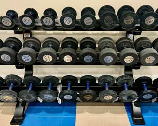 Hampton Weight Rack & Weights