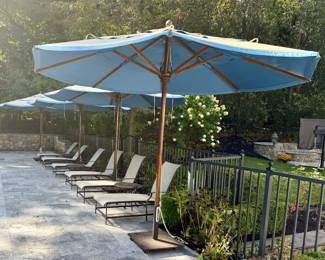 (4) Santa Barbara Umbrellas