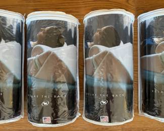 (4) New Relax the Back Pillows