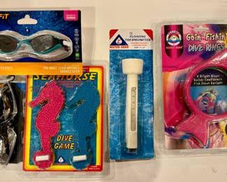 New Pool Toys