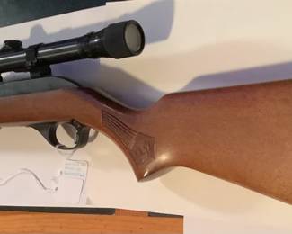 Glenfield 22 Model 60 Squirel Stock. 