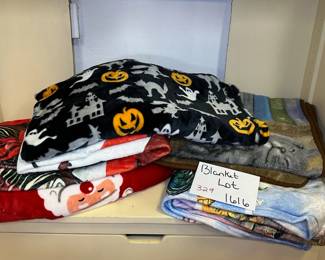 Blanket Lot