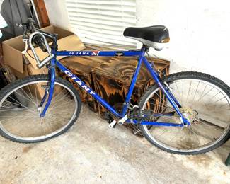 Men's Giant bike