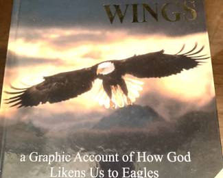 "On Eagles Wings" (A Graphic Account of How God Likens Us to Eagles by Col Stringer)