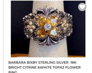 Barbra Bixby sterling 18k rhodolite garnet ring