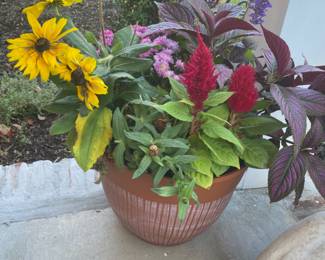 Estate Sales By Olga in Martinsville, NJ