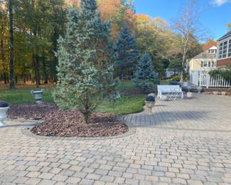 Estate Sales By Olga in Martinsville, NJ