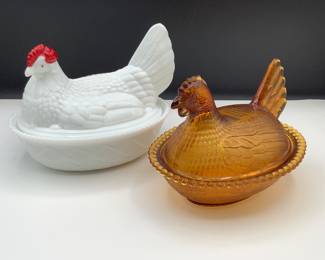 Westmoreland Hen on Nest