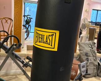 EVERLAST PUNCHING BAG 