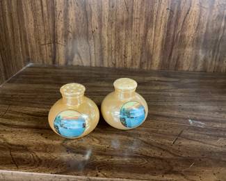 Salt and Pepper Shakers