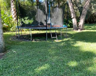 Trampoline with net  you have to disassemble 