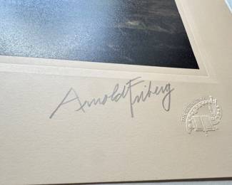 Peace Be Still Arnold Friberg signed, limited print - large