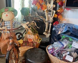 Halloween decor and costumes. Pet costumes 