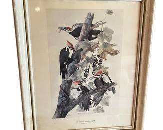 Vintage Audubons "Pileated Woodpecker"
