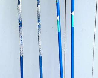 Two (2) Pairs of Ski Hiking Poles
