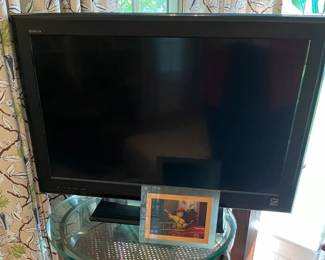 TV on Metal & Glass Stand in Sunroom