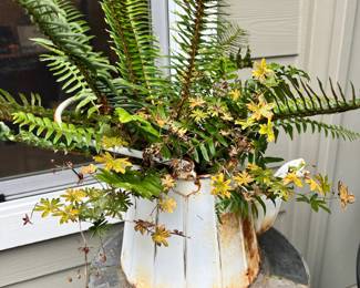 Potted Fern in Rustic Watering Can