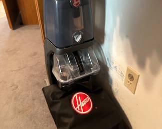 Hoover steam cleaner works great! 