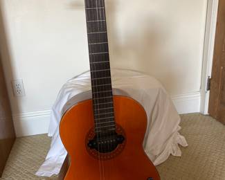 Epi  model C12 guitar 