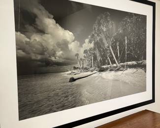 Clyde Butcher B & W original - slightly Damaged $10,000 signed on back of picture