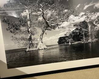 Clyde Butcher B & W original - slightly damaged $10,000 signed on back of photo