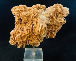 Desert Rose Specimen 