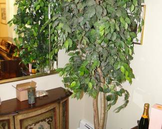 Faux ficus